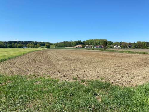 Foto - Grundstück in Schechen 190.000,00 € 10236 m²