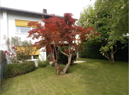 Foto - Haus zum Kaufen in Burgkirchen an der Alz 325.000,00 € 116 m²