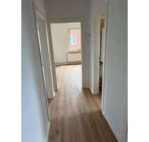 Wohnung zum Mieten in Blekede 500,00 € 51.3 m²