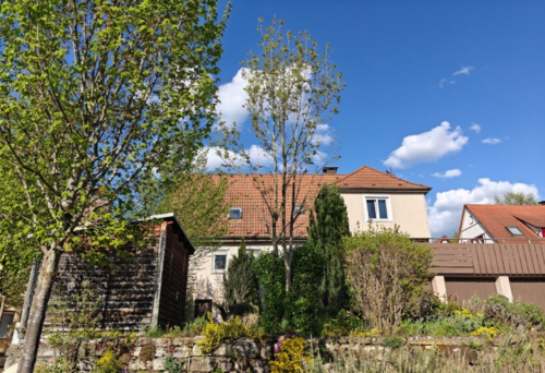 Foto - Haus zum Kaufen in Plüderhausen 499.000,00 € 180 m²