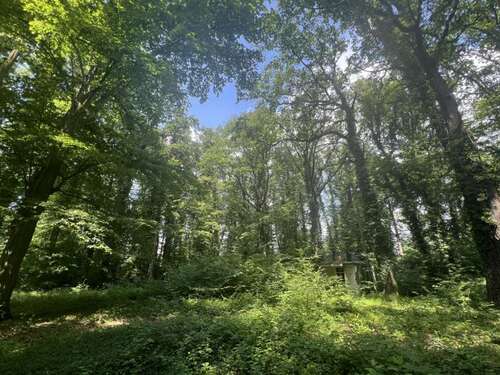 Foto - Grundstück zu verkaufen in Waldsteinberg 375.000,00 € 2870 m²