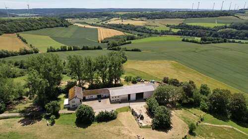 Foto - Haus zum Kaufen in Mettendorf 895.000,00 € 210 m²