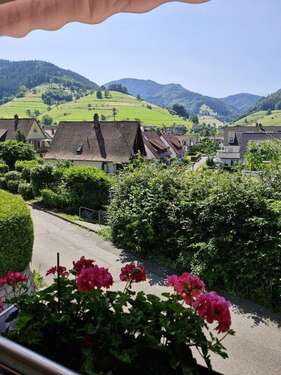 Foto - Haus zum Kaufen in Münstertal Schwarzwald 698.000,00 € 222 m²