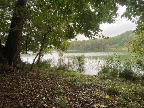 Foto - Grundstück zu verkaufen in Finowfurt 24.999,00 € 21841 m²