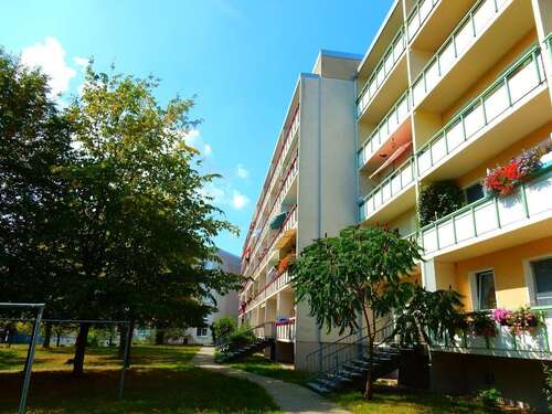 Foto - Wohnung zum Mieten in Görlitz 320,00 € 56.57 m²