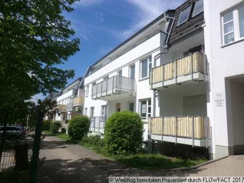 Foto - Wohnung zum Mieten in Chemnitz 355,00 € 57.5 m²