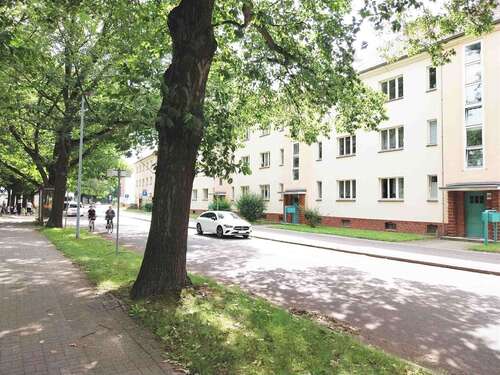 Foto - Wohnung zum Mieten in Forst (Lausitz) 370,00 € 54.89 m²