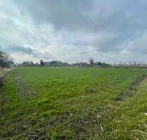 Grundstück zu verkaufen in Schwedt 55.000,00 € 965 m²