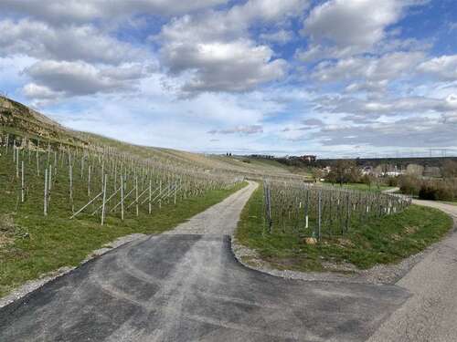 Foto - Grundstück in Bönnigheim 9.500,00 € 1748 m²