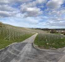 Grundstück in Bönnigheim 9.500,00 € 1748 m²