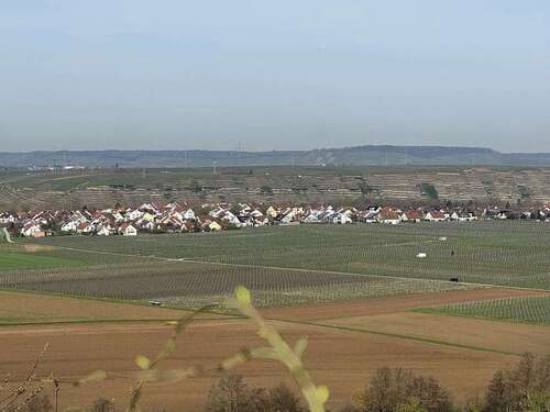 Foto - Grundstück in Lauffen 123.900,00 € 17866 m²