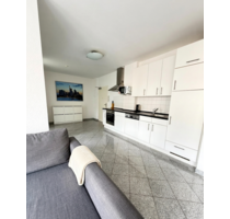 Wohnung zum Mieten in Frankfurt am Main 1.240,00 € 50 m²
