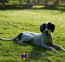 Grundstück zu verkaufen in Germering 1.278.000,00 € 713 m²