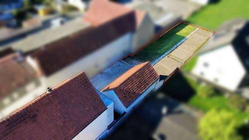 Foto - Grundstück zu verkaufen in Weiterstadt 299.000,00 € 420 m²