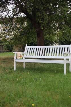 Foto - Wohnung zum Mieten in Werdau 291,00 € 55.9 m²