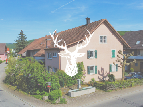 Foto - Haus zum Kaufen in Klettgau-Grießen 399.000,00 € 297 m²
