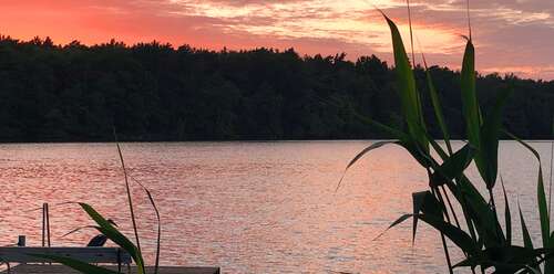 Foto - Haus zum Kaufen in Niederlehme 1.850.000,00 € 223 m²