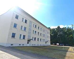 Wohnung zum Mieten in Gräfenhainichen 245,00 € 50 m²