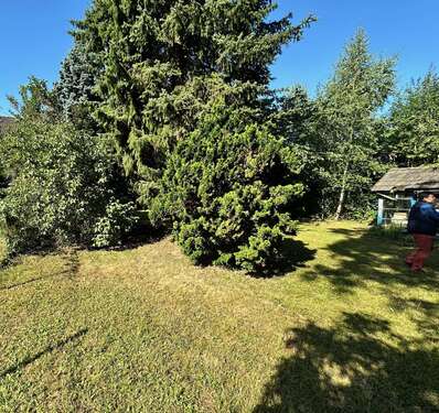 Foto - Haus zum Kaufen in Köln 598.000,00 € 105 m²