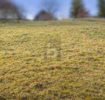 Grundstück zu verkaufen in Baiersbronn 69.000,00 € 550 m²