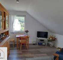 Wohnung zum Mieten in Rinteln 400,00 € 39.48 m²