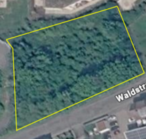 Grundstück in Walldürn 210.000,00 € 3500 m²