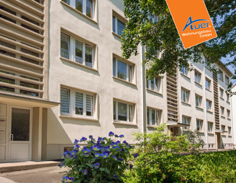 Foto - Wohnung zum Mieten in Aue-Bad Schlema 251,90 € 45.8 m²