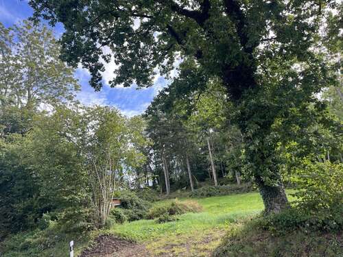 Foto - Grundstück zu verkaufen in Eckernförde 228.000,00 € 1001 m²