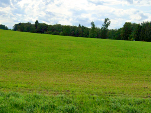 Foto - Grundstück in Machtlfing 78.000,00 € 30894 m²