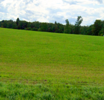 Grundstück in Machtlfing 78.000,00 € 30894 m²
