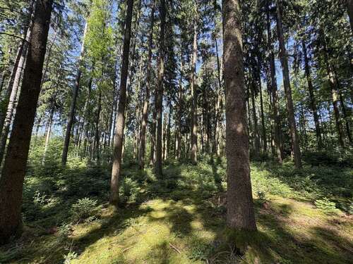 Foto - Grundstück in Ergoldsbach-Langenhettenbach 158.400,00 € 31680 m²