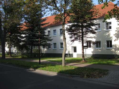 Foto - Wohnung zum Mieten in Anklam 332,33 € 44.31 m²