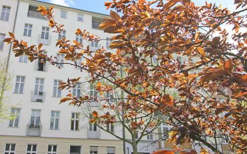 Foto - Wohnung zum Kaufen in Berlin 327.000,00 € 54 m²