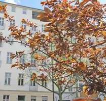 Wohnung zum Kaufen in Berlin 327.000,00 € 54 m²