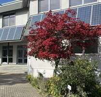 Büro in Ludwigsburg Pflugfelden 3.550,00 € 355 m²