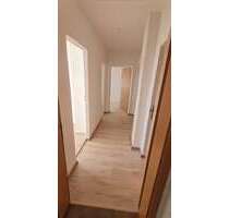 Wohnung zum Mieten in Herzberg (Elster) 350,00 € 60 m²