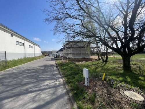 Foto - Grundstück zu verkaufen in Ottendorf-Okrilla 149.500,00 € 618 m²