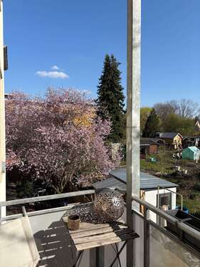 Foto - Wohnung zum Mieten in Dresden 450,00 € 49.44 m²