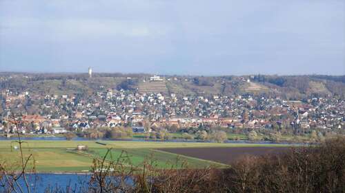 Foto - Wohnung zum Kaufen in Dresden 480.000,00 € 133 m²