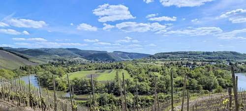 Foto - Haus zum Kaufen in Wiltingen 699.000,00 € 290 m²