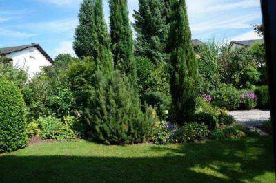 Foto - Wohnung zum Mieten in Baden-Baden 330,00 € 21.38 m²