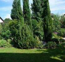 Wohnung zum Mieten in Baden-Baden 330,00 € 21.38 m²