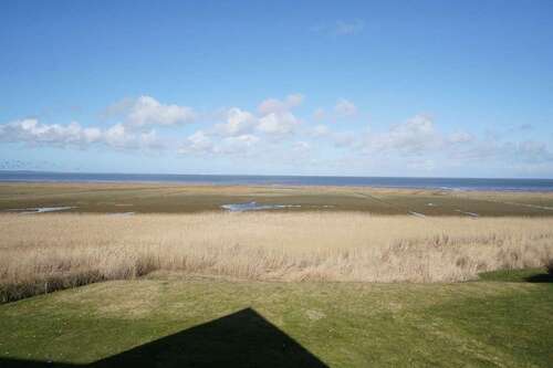 Foto - Wohnung zum Kaufen in Sylt 425.000,00 € 43 m²