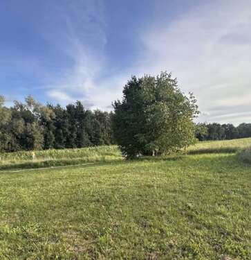 Foto - Grundstück zu verkaufen in Bad Staffelstein 59.000,00 € 450 m²