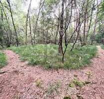 Grundstück zu verkaufen in Pinneberg 100.000,00 € 5634 m²