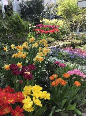 Foto - Wohnung zum Mieten in Berlin 2.100,00 € 158 m²