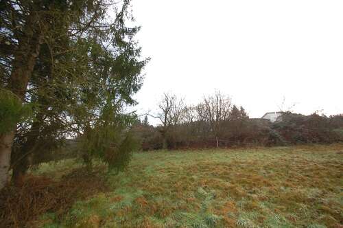 Foto - Grundstück zu verkaufen in Eberbach 150.000,00 € 1589 m²