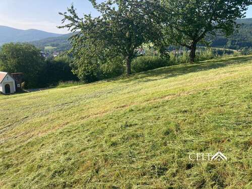 Foto - Grundstück zu verkaufen in Hunding 275.000,00 € 2500 m²