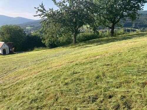 Foto - Grundstück zu verkaufen in Hunding 275.000,00 € 2500 m²
