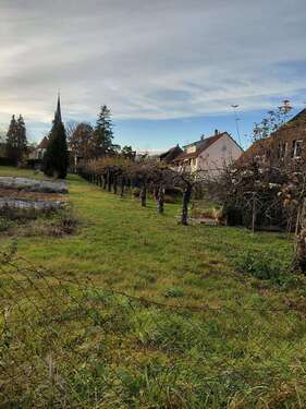 Foto - Wohnung zum Kaufen in Stuttgart 332.500,00 € 76 m²